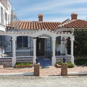 Golondrinas , Cómpeta España